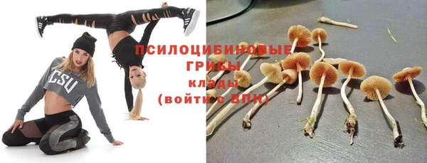 мяу мяу мука Балабаново
