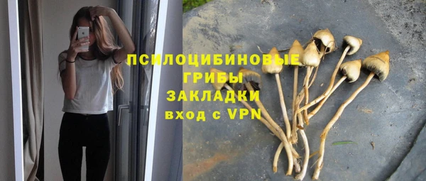мяу мяу мука Балабаново