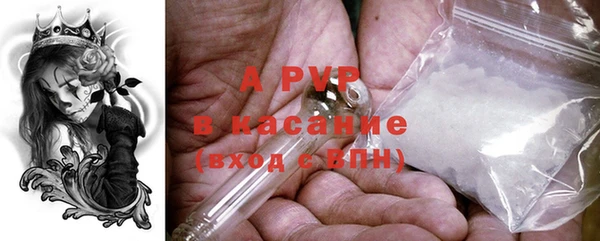 ECSTASY Армянск
