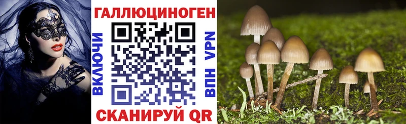 Галлюциногенные грибы Cubensis  где продают наркотики  Пучеж 